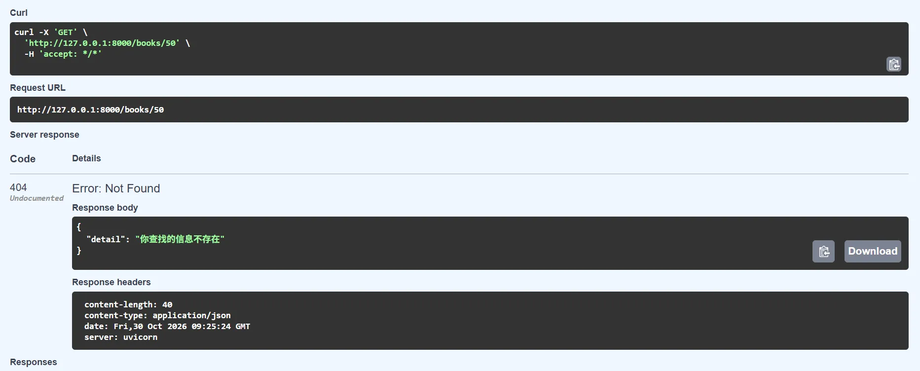 HTTPException 返回 404 错误信息